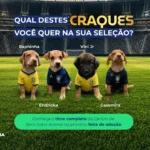 Programa de Bem-Estar Animal promove feira de adoção no Centro de Colatina