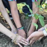 Programa de educação ambiental leva estudantes ao Horto Florestal de Colatina